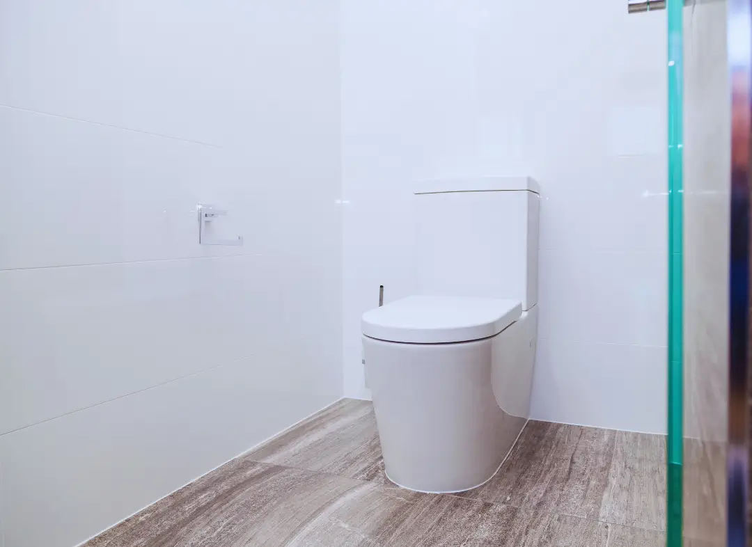 Remplacement de wc Loire-Authion